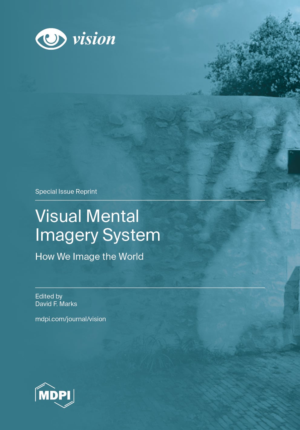 Visual Mental Imagery System