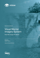 Special Issue Visual Mental Imagery System: How We Image the World book cover image