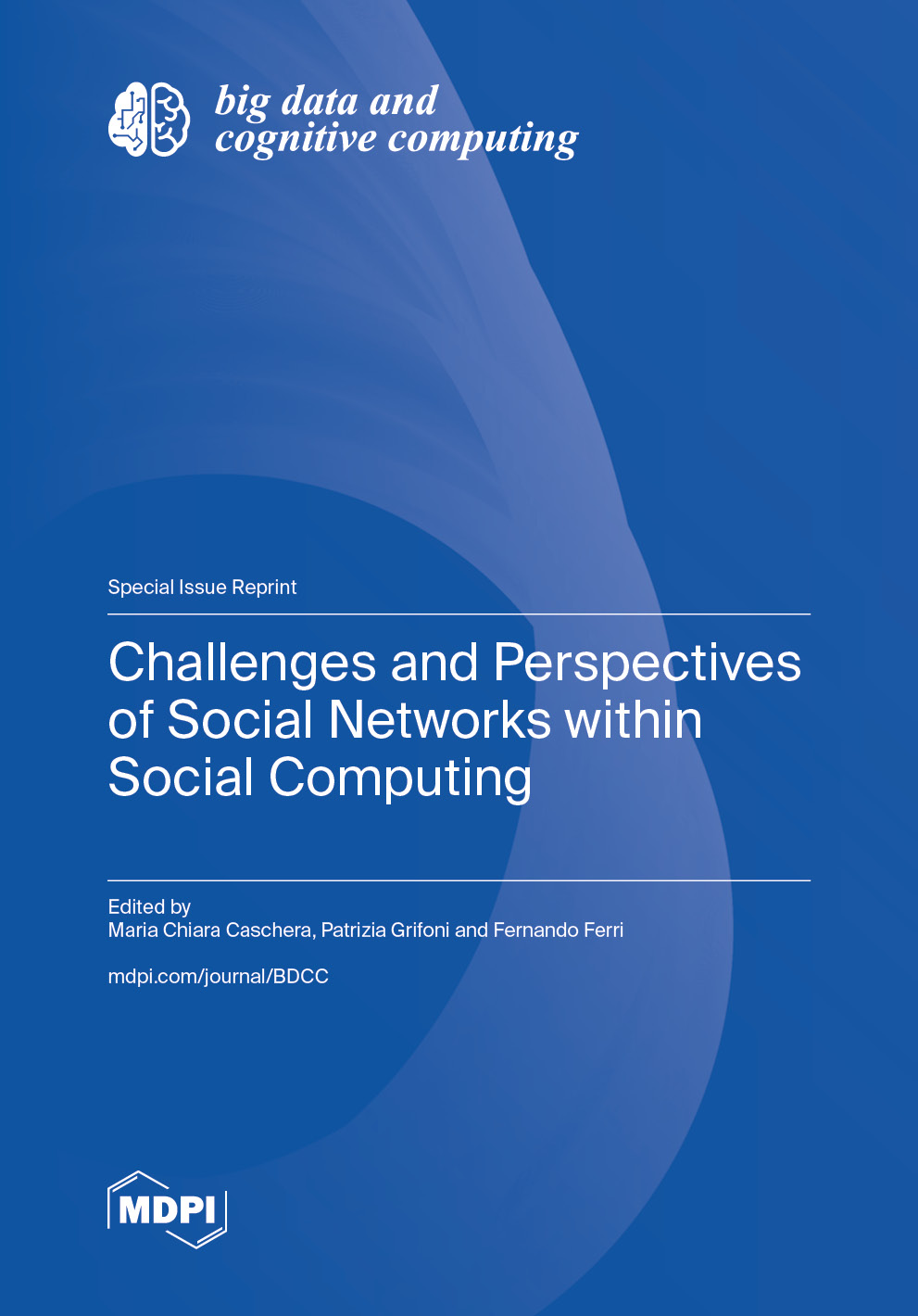 Challenges and Perspectives of Social Networks within Social Computing