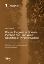 Special Issue Recent Progress in Biomass Pyrolysis and High Value Utilization of Pyrolytic Carbon book cover image