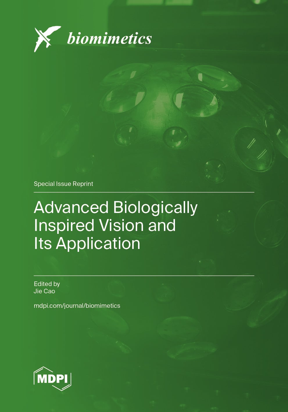 Advanced Biologically Inspired Vision and Its Application