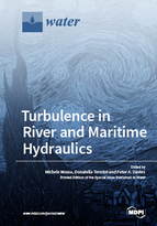Special issue Turbulence in River and Maritime Hydraulics book cover image