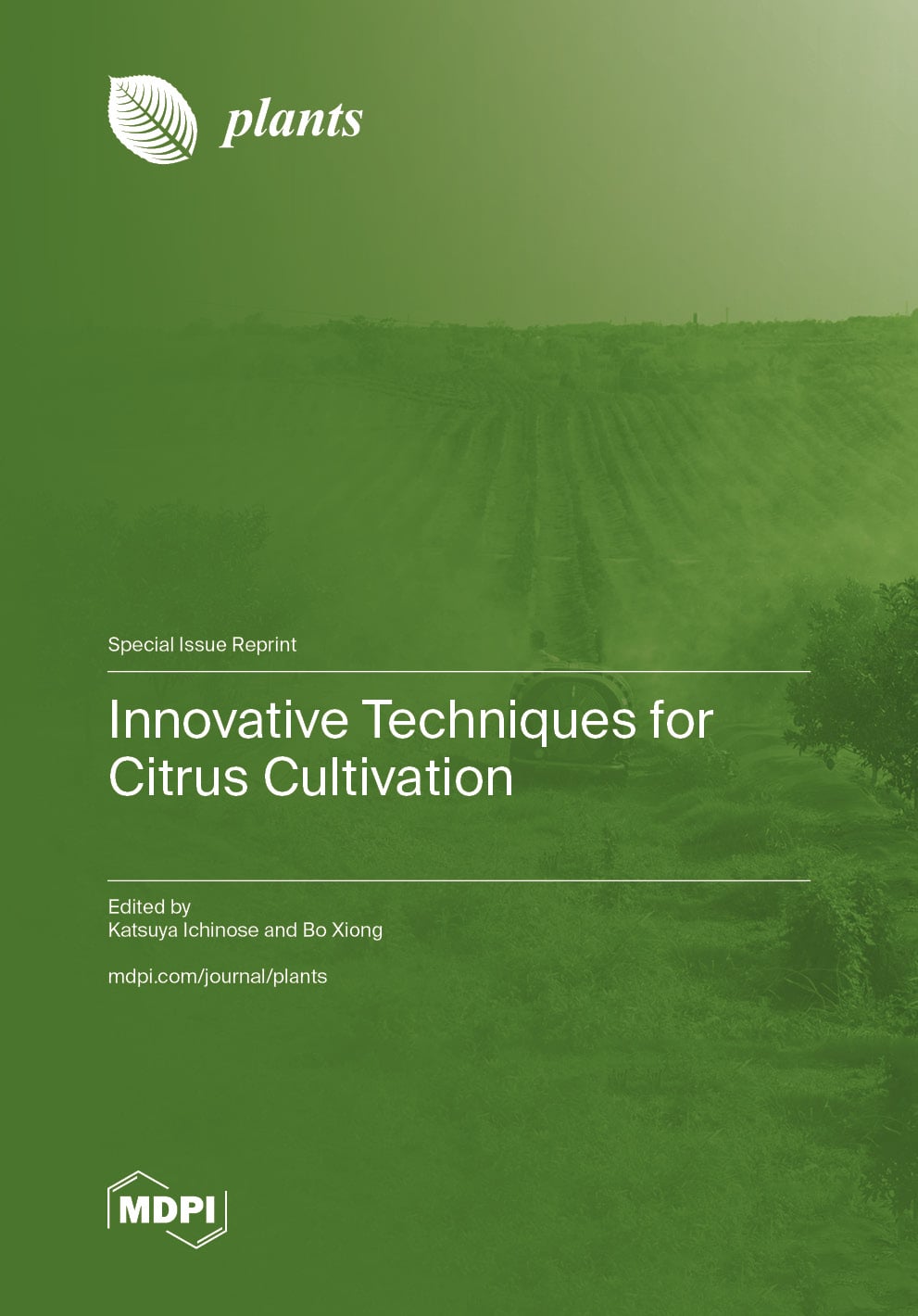Innovative Techniques for Citrus Cultivation