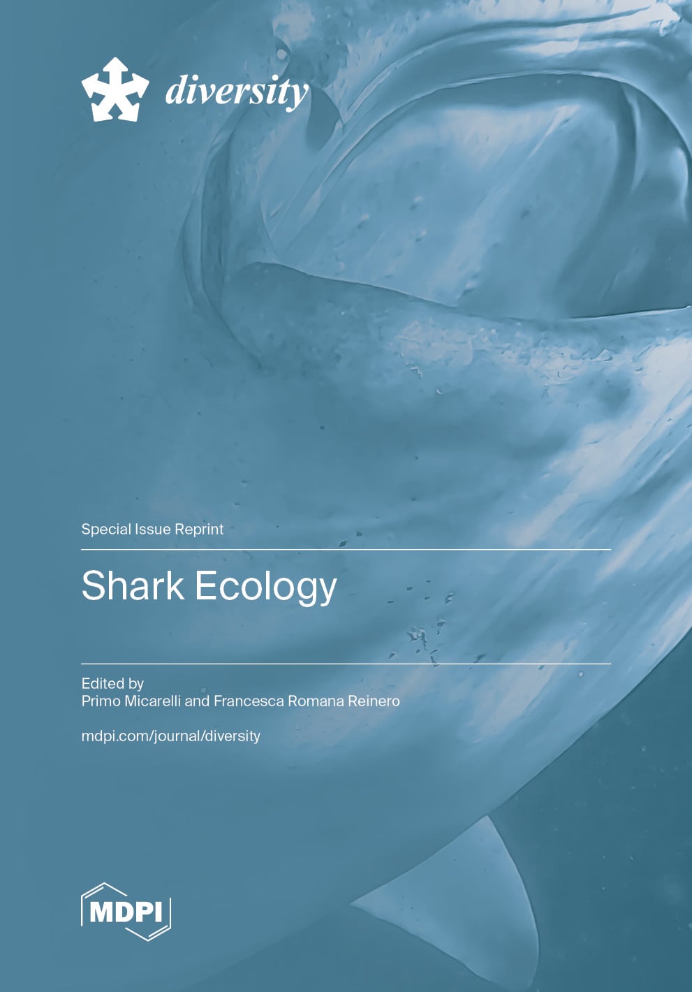 Shark Ecology