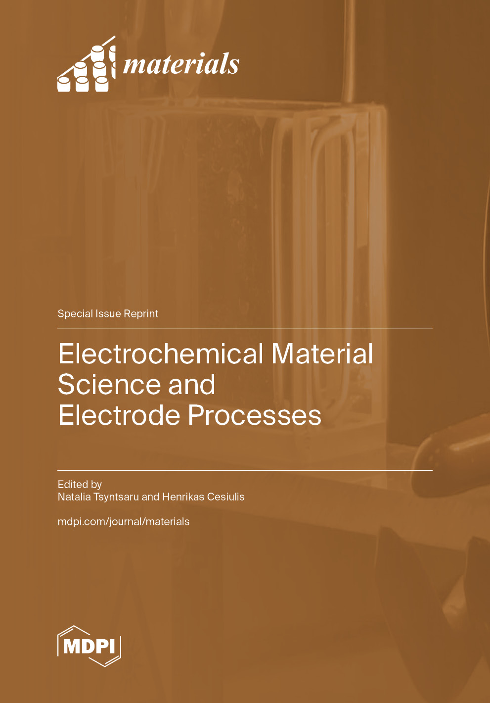 Electrochemical Material Science and Electrode Processes | MDPI Books