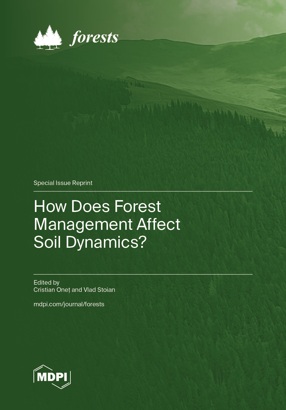 How Does Forest Management Affect Soil Dynamics?