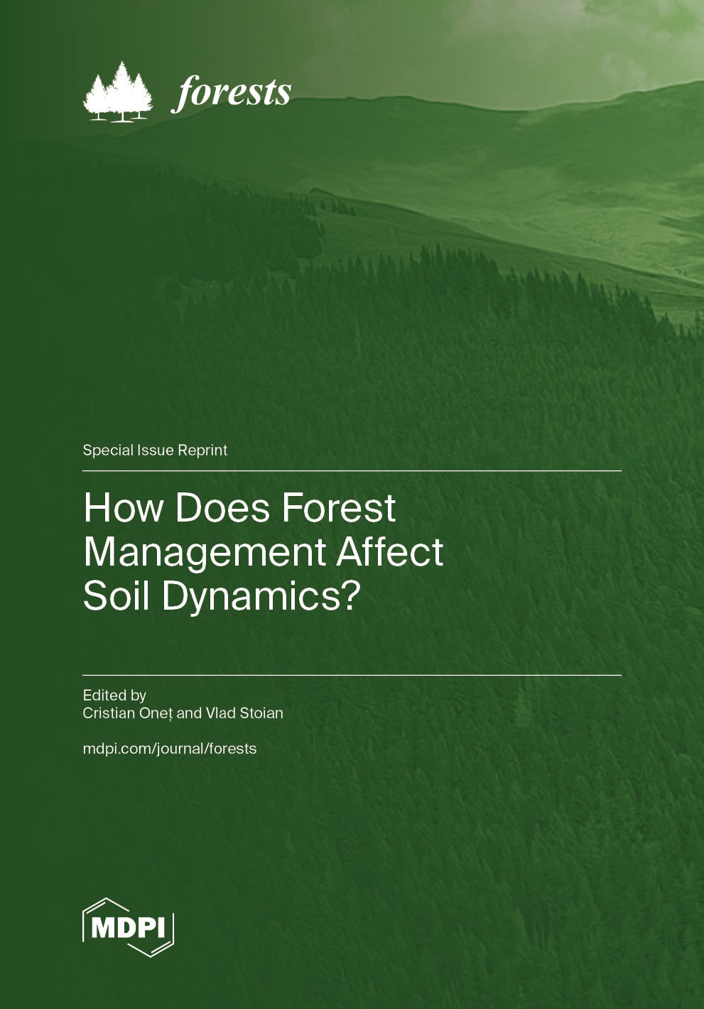 How Does Forest Management Affect Soil Dynamics?