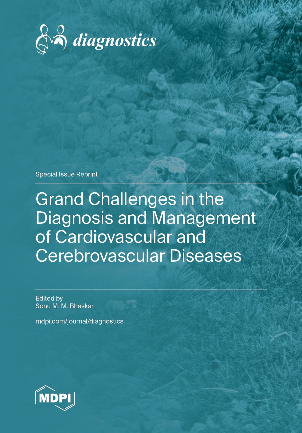 Grand Challenges in the Diagnosis and Management of Cardiovascular and Cerebrovascular Diseases