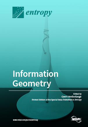 Information Geometry