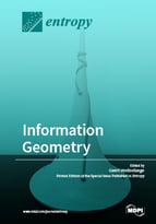Special issue Information Geometry book cover image