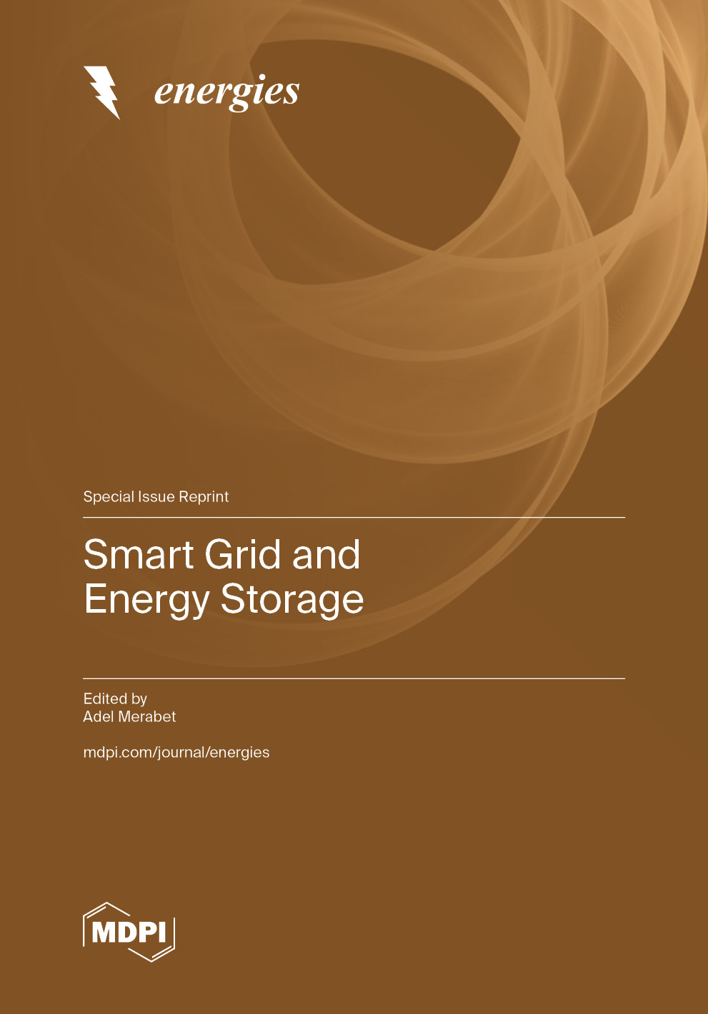 Smart Grid and Energy Storage | MDPI Books