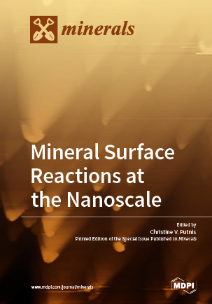 Mineral Surface Reactions at the Nanoscale