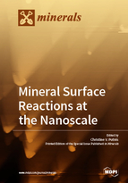Special issue Mineral Surface Reactions at the Nanoscale book cover image