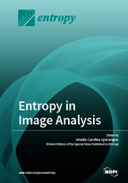 Special issue Entropy in Image Analysis book cover image
