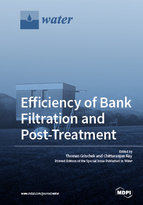 Special issue Efficiency of Bank Filtration and Post-Treatment book cover image