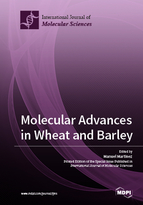 Special issue Molecular Advances in Wheat and Barley book cover image