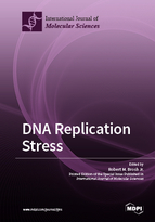 Special issue DNA Replication Stress book cover image