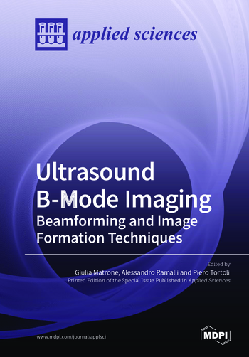Book cover: Ultrasound B-mode Imaging: Beamforming and Image Formation Techniques