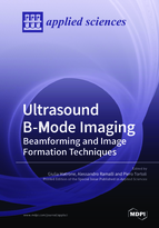 Special Issue Ultrasound B-mode Imaging: Beamforming and Image Formation Techniques book cover image