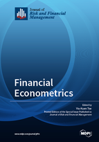 Special issue Financial Econometrics book cover image