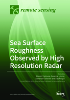 Special issue Sea Surface Roughness Observed by High Resolution Radar book cover image