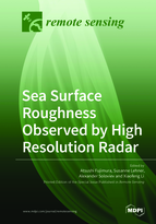 Special Issue Sea Surface Roughness Observed by High Resolution Radar book cover image