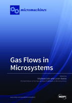 Special issue Gas Flows in Microsystems book cover image