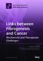Special issue Links between Fibrogenesis and Cancer: Mechanistic and Therapeutic Challenges book cover image