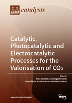 Special issue Catalytic, Photocatalytic and Electrocatalytic Processes for the Valorisation of CO<sub>2</sub> book cover image