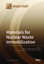 Special issue Materials for Nuclear Waste Immobilization book cover image