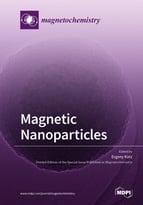 Special issue Magnetic Nanoparticles book cover image