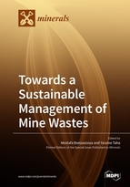 Special Issue Towards a Sustainable Management of Mine Wastes: Reprocessing, Reuse, Revalorization and Repository book cover image
