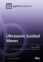 Special issue Ultrasonic Guided Waves book cover image