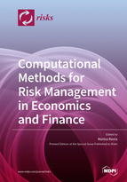Special issue Computational Methods for Risk Management in Economics and Finance book cover image