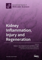 Special issue Kidney Inflammation, Injury and Regeneration book cover image