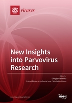 Special issue New Insights into Parvovirus Research book cover image