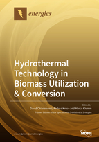 Special issue Hydrothermal Technology in Biomass Utilization & Conversion book cover image