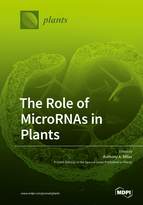 Special issue The Role of MicroRNAs in Plants book cover image