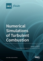 Special issue Numerical Simulations of Turbulent Combustion book cover image