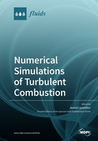 Special Issue Numerical Simulations of Turbulent Combustion book cover image