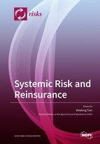 Special issue Systemic Risk and Reinsurance book cover image