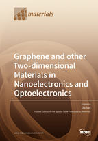 Special issue Graphene and other Two-dimensional Materials in Nanoelectronics and Optoelectronics book cover image