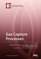 Special issue Gas Capture Processes book cover image