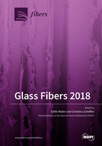 Special issue Glass Fibers 2018 book cover image