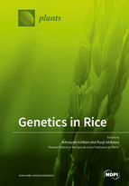 Special issue Genetics in Rice book cover image