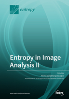 Special issue Entropy in Image Analysis II book cover image