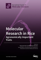 Special issue Molecular Research in Rice: Agronomically Important Traits book cover image