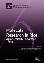 Special Issue Molecular Research in Rice: Agronomically Important Traits book cover image