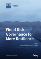 Special issue Flood Risk Governance for More Resilience book cover image