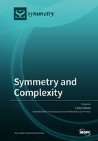 Special issue Symmetry and Complexity book cover image